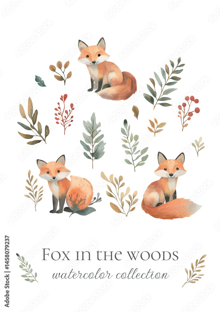Fototapeta premium watercolor collection of foxes in the woods