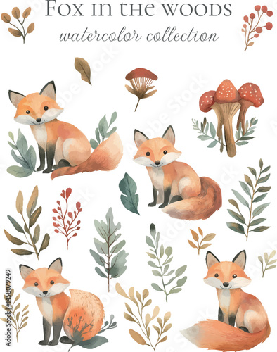 watercolor collection of foxes in the woods