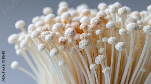 Golden Needle Mushrooms: Close-up shot of a cluster of fresh, delicate golden needle mushrooms, showcasing their creamy white stems and tiny, bulbous caps. The image is perfect for culinary, health.