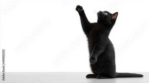 Playful Black Cat Reaching ...