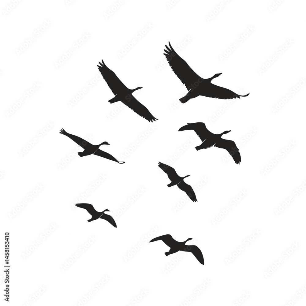 Flying birds silhouette black vector illustration, multiple birds in flight, perfect for nature, wildlife Flying birds silhouette black vector illustration, multiple birds in flight, perfect for nature, wildlife