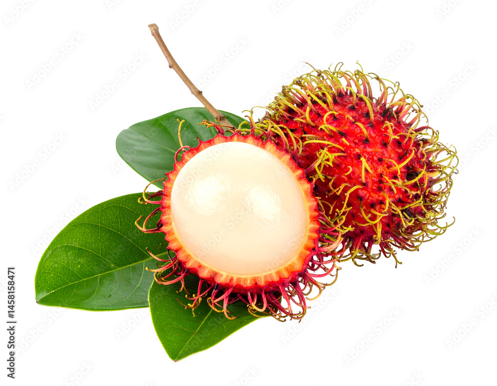 Ripe Rambutan Fruit with Green Leaves on Transparent Background Ripe Rambutan Fruit with Green Leaves on Transparent Background