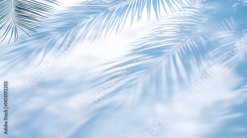 Light blue sky, soft shadows of palm leaves.