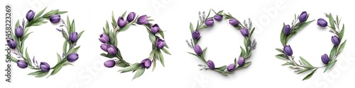 Obraz na płótnie Purple tulips arranged in a wreath frame, isolate on white background. Collection. w salonie