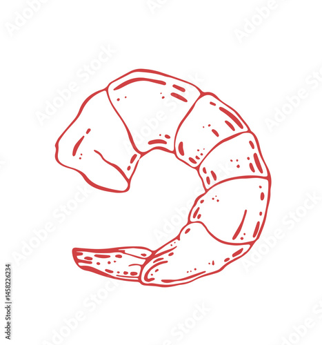 Shrimp vector illustration. Shrimp scampi drawing.