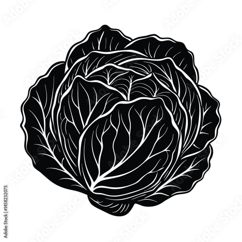 a bunch cabbage vector art silhouette