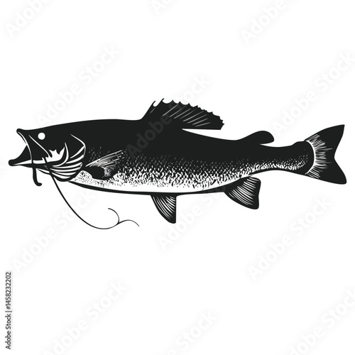 Catfish Illustration