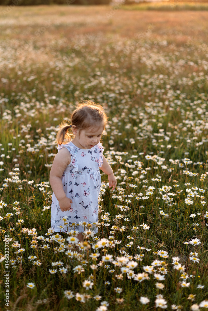 child girl going at camomile field child girl going at camomile field