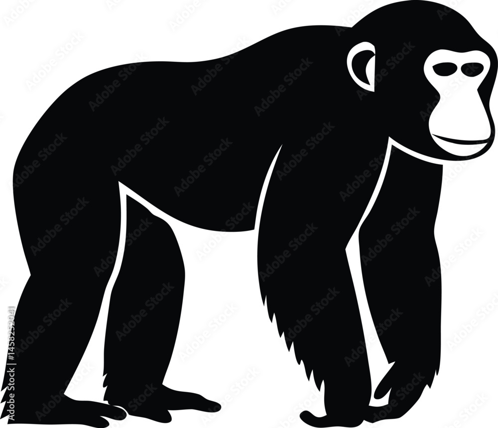 Obraz premium A black Silhouette chimpanzee animal