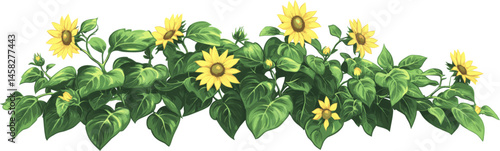 Green Leaf Bush and Sunflowers with clipping path. Vector illustration