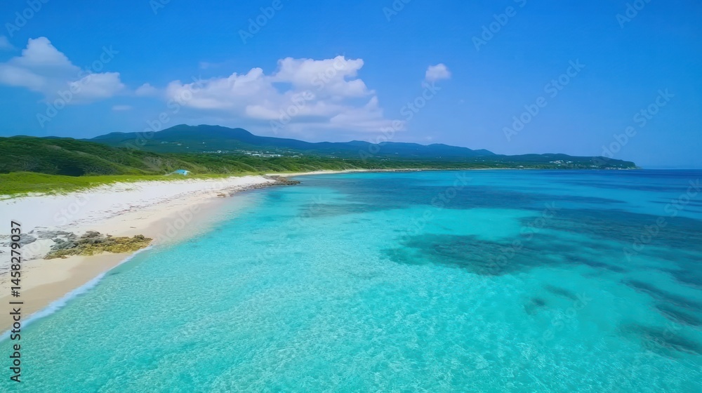 Obraz premium Tropical Beach Paradise: Turquoise Waters and White Sands