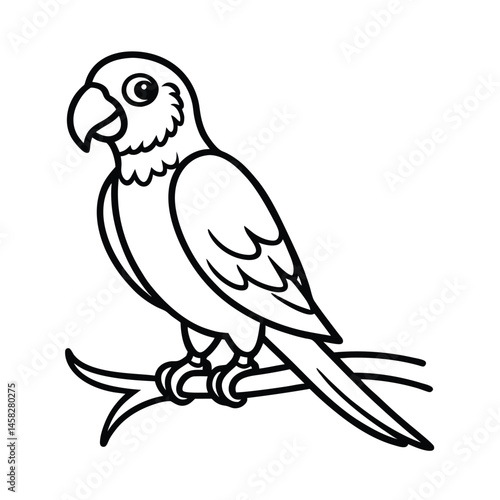 parrot line art vector silhouette