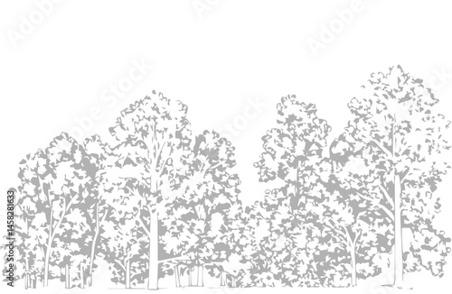 A detailed architectural drawing of a dense forest elevation, featuring a variety of deciduous and coniferous trees with intricate line work and fine textures.