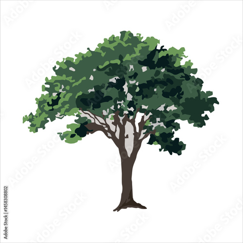 Hand-Drawn Green Tree Illustration on Textured Background – Nature, Forest, Botanical Art. Good for poster or book illustration