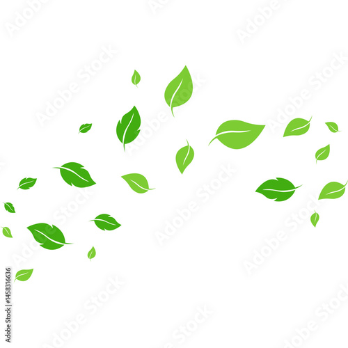 Flying Leaves Illustration