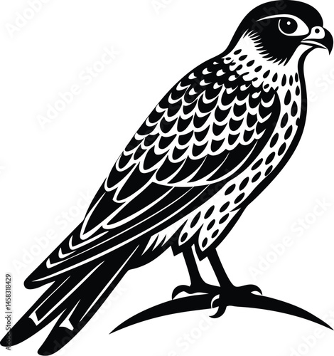 Minimalistic vector silhouette of a perched kestrel with wings tucked on white background great for falconry or birdwatching design