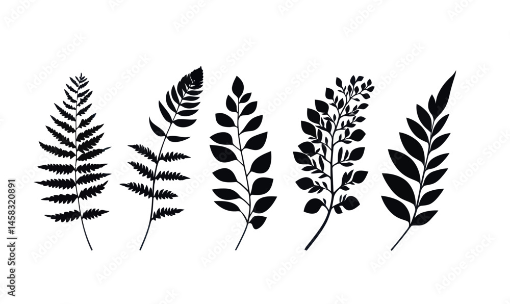 Minimalist Fern Leaf Illustration Silhouette for Nature Design Projects Minimalist Fern Leaf Illustration Silhouette for Nature Design Projects