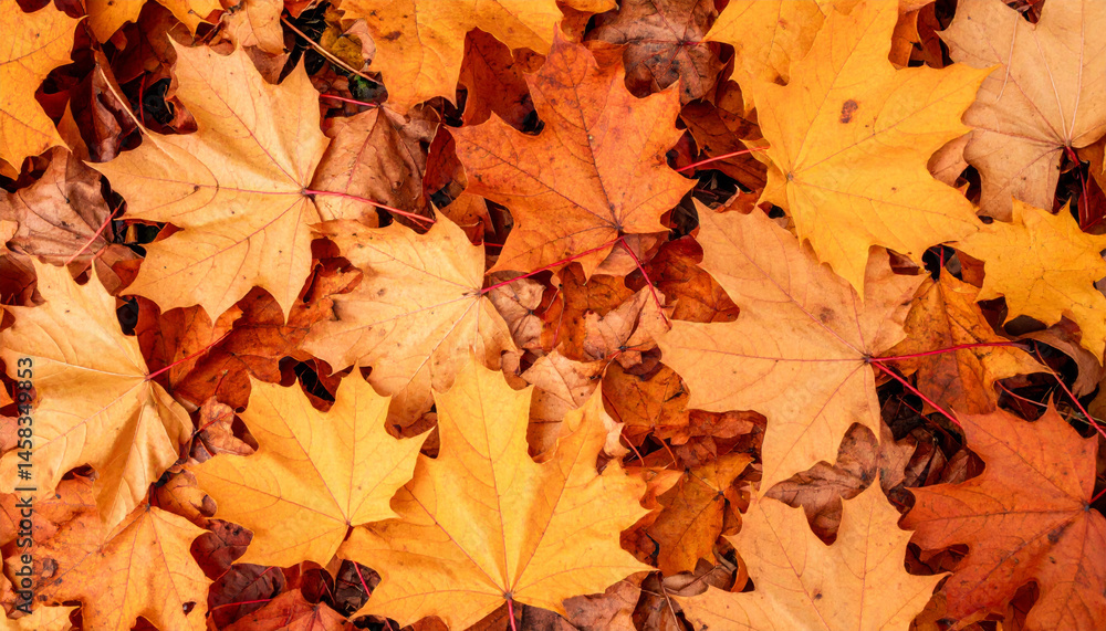 Fallen leaves create vibrant carpet of orange and yellow hues, showcasing beauty of autumn. intricate patterns and textures add warm, inviting feel to natural landscape Fallen leaves create vibrant carpet of orange and yellow hues, showcasing beauty of autumn. intricate patterns and textures add warm, inviting feel to natural landscape