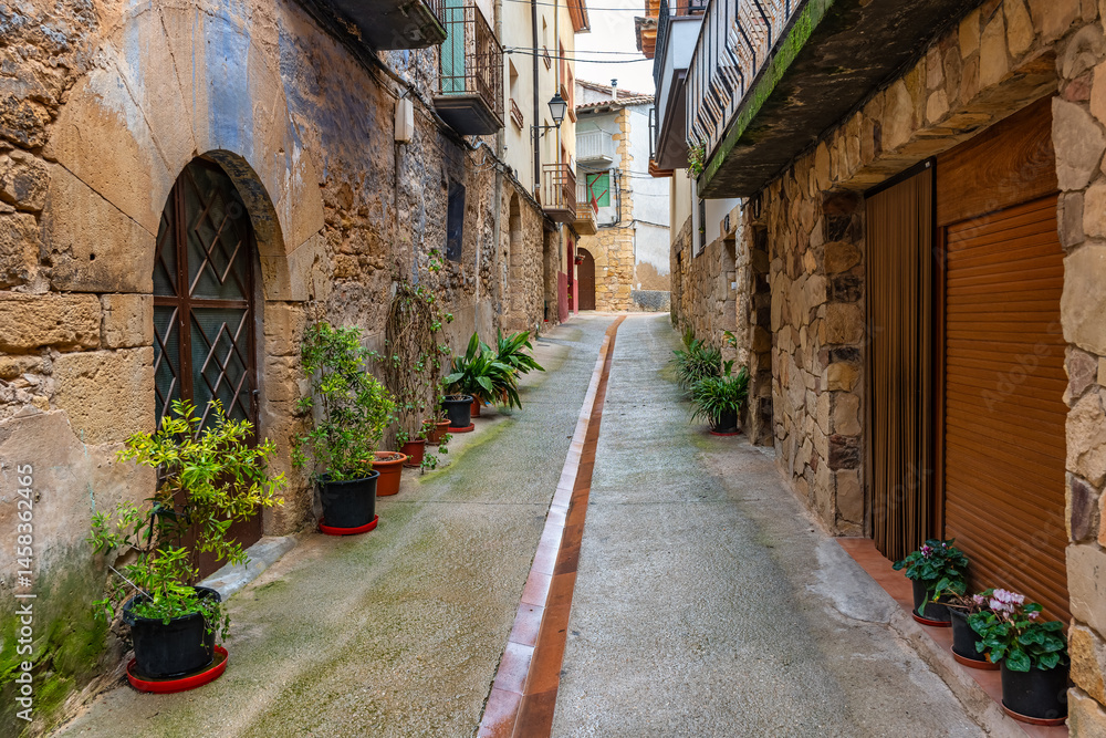 Picturesque street with pots with flowers and green plants at the foot of the doors of the houses, Teruel, Rafales.