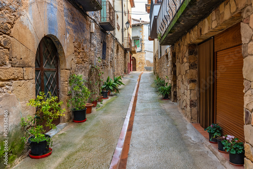 Obraz na płótnie Picturesque street with pots with flowers and green plants at the foot of the doors of the houses, Teruel, Rafales. w salonie