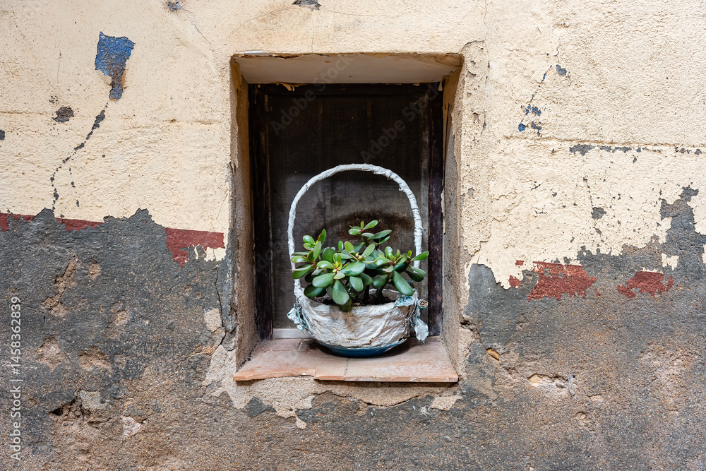 Basket with plants in the windows of the old houses of Rafales, Teruel,