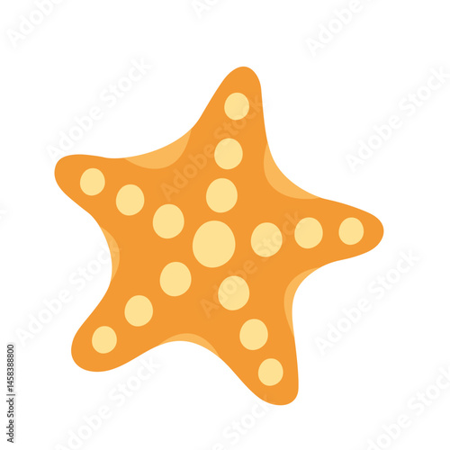 Starfish illustration