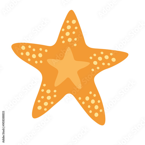 Starfish illustration