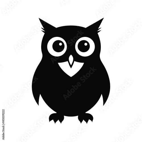 owl on white background