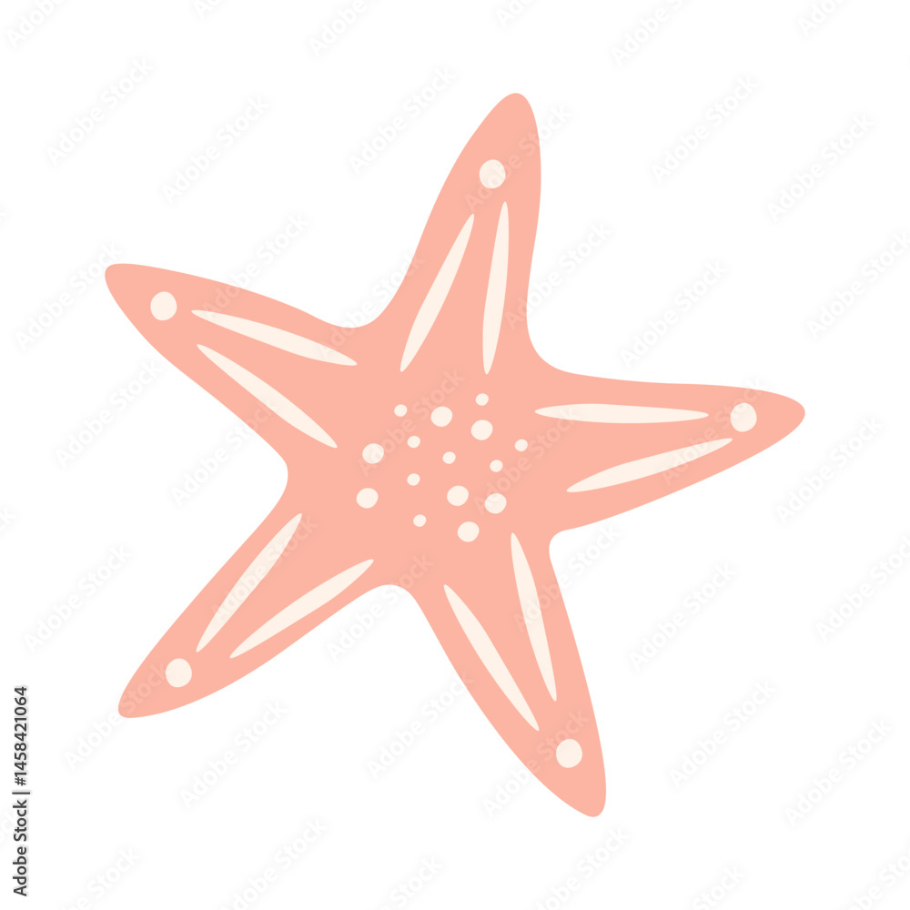 Starfish illustration Starfish illustration