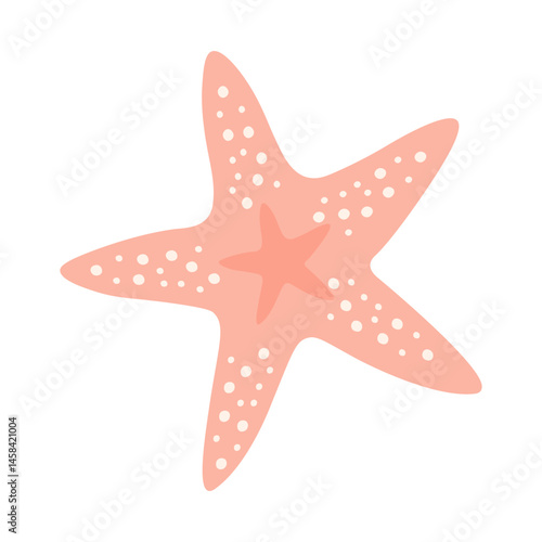 Starfish illustration