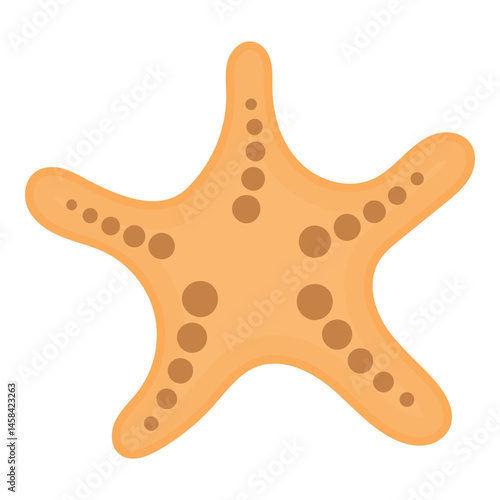 Starfish Illustration