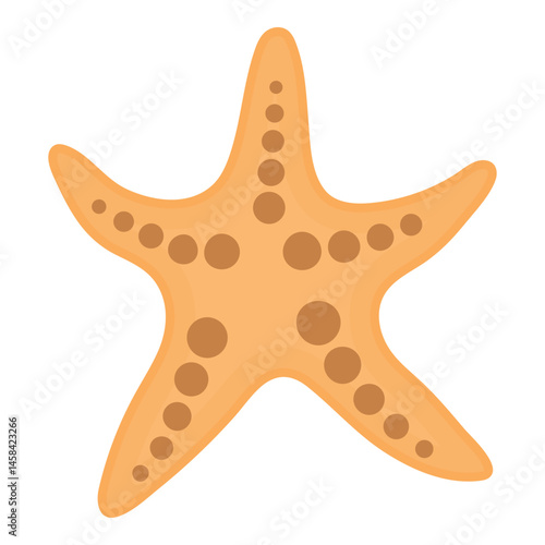 Starfish Illustration