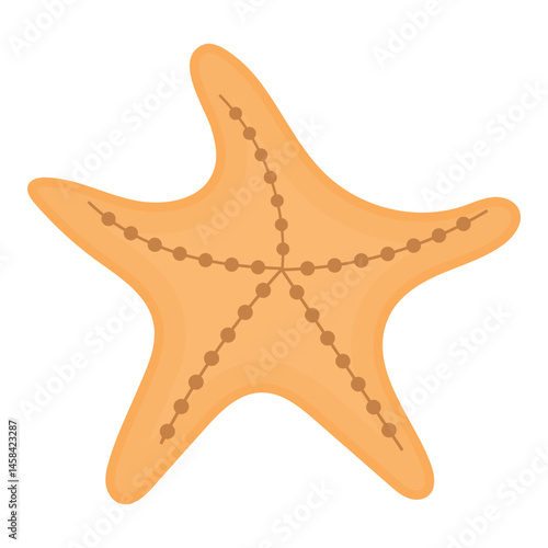 Starfish Illustration