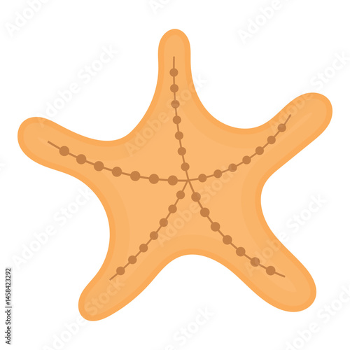 Starfish Illustration