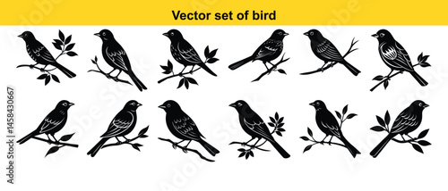 Set of silhouettes of birds isolated on white background. Vector silhouett. A vector set shows silhouettes of flying birds,a collection of black animal icon representing wild wings in natural flight  