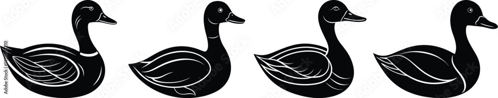 Obraz premium Duck Silhouette Graphic Collection