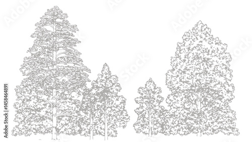 A detailed architectural drawing of a dense forest elevation, featuring a variety of deciduous and coniferous trees with intricate line work and fine textures.