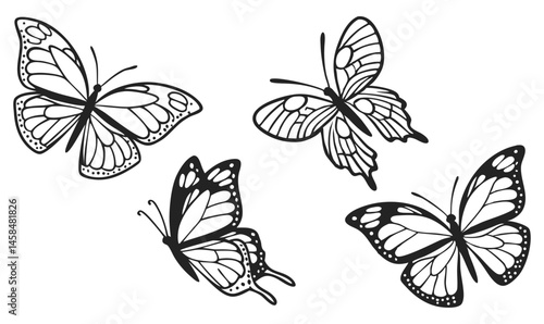 "Flying Butterfly Line Art Collection | Elegant Black & White Vector Set"