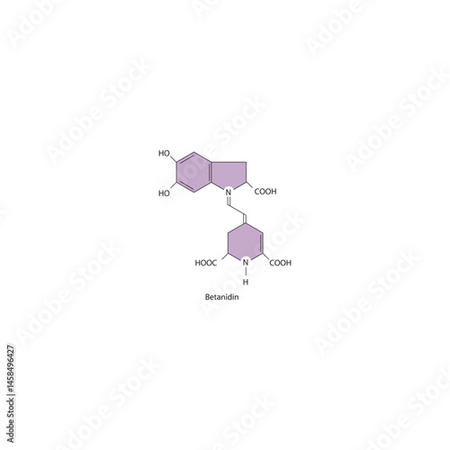 Betanidin molecule – natural red pigment from beets, betalain group. Skeletal formula of plant antioxidant compound.