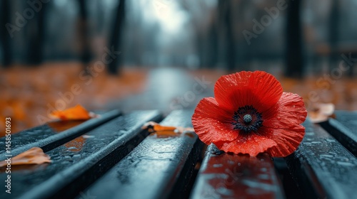 Solemn poppy on a park bench in autumn