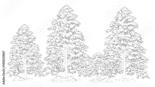 A detailed architectural drawing of a dense forest elevation, featuring a variety of deciduous and coniferous trees with intricate line work and fine textures.