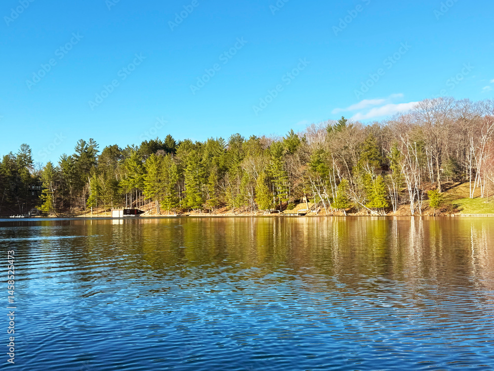 Fototapeta premium lake in the woods