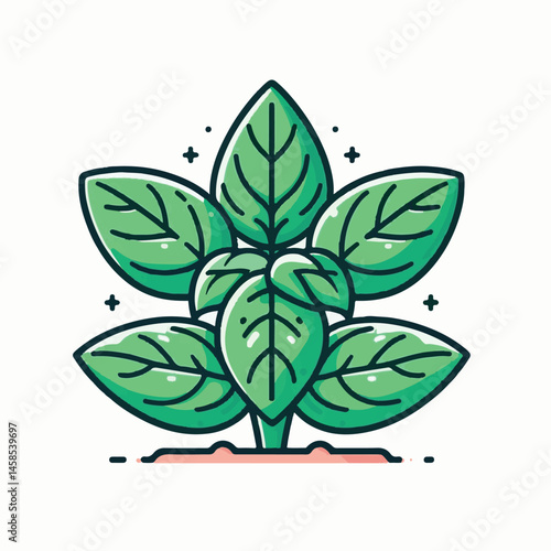 herb, fresh, leaf, green, basil, italian, background, herbal, food, raw, healthy, isolated, culinary, vegetarian, ingredient, vegetable, white, natural, organic, cooking, spice, closeup, plant, leaves