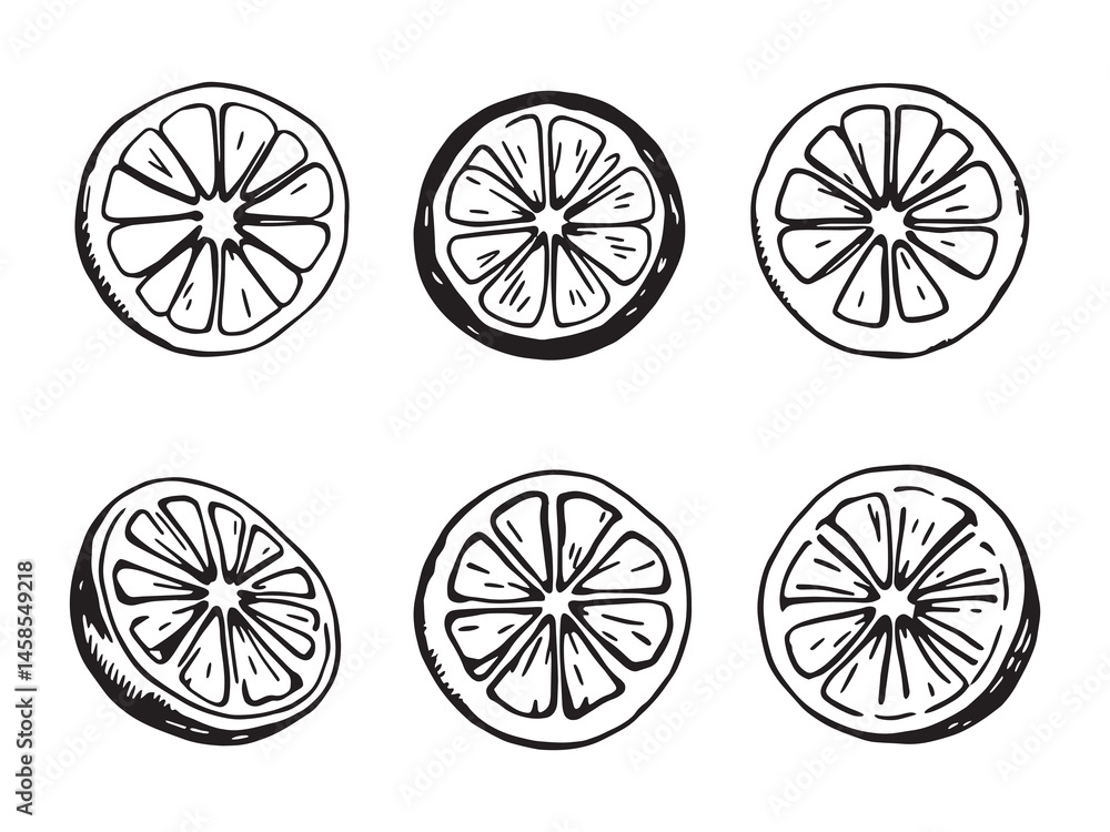 Citrus Spritz Simple Line Art Citrus Spritz Simple Line Art