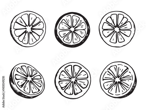 Citrus Spritz Simple Line Art