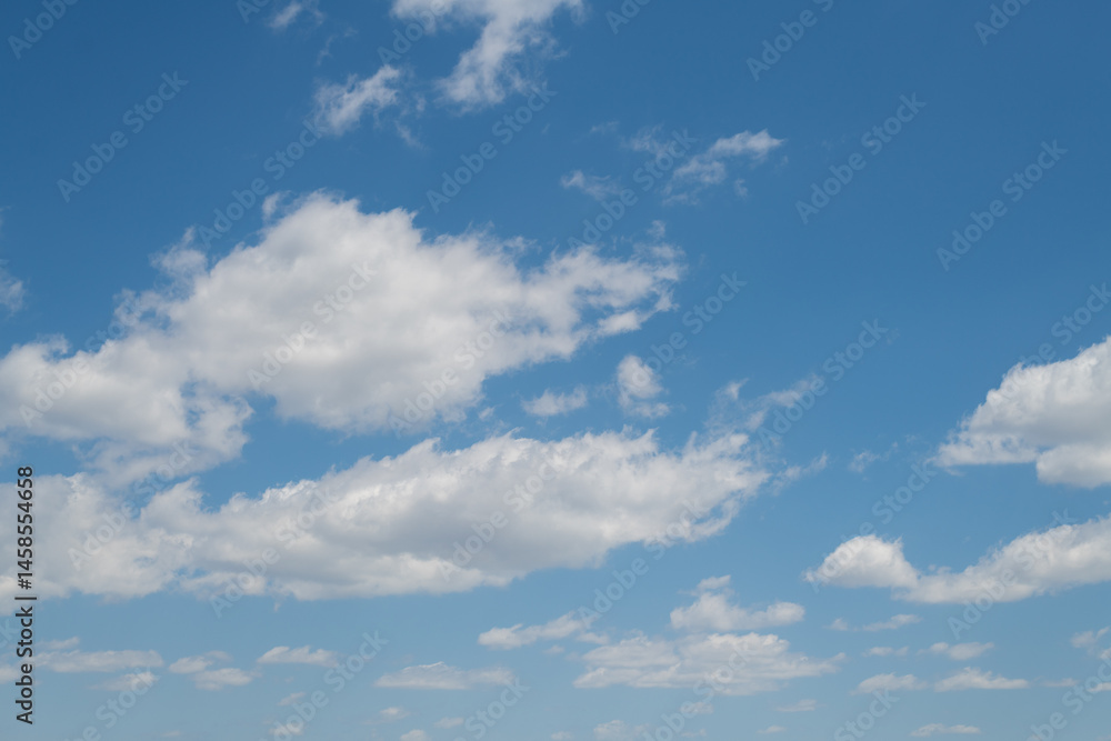 Naklejka premium 見上げると綺麗な青い空