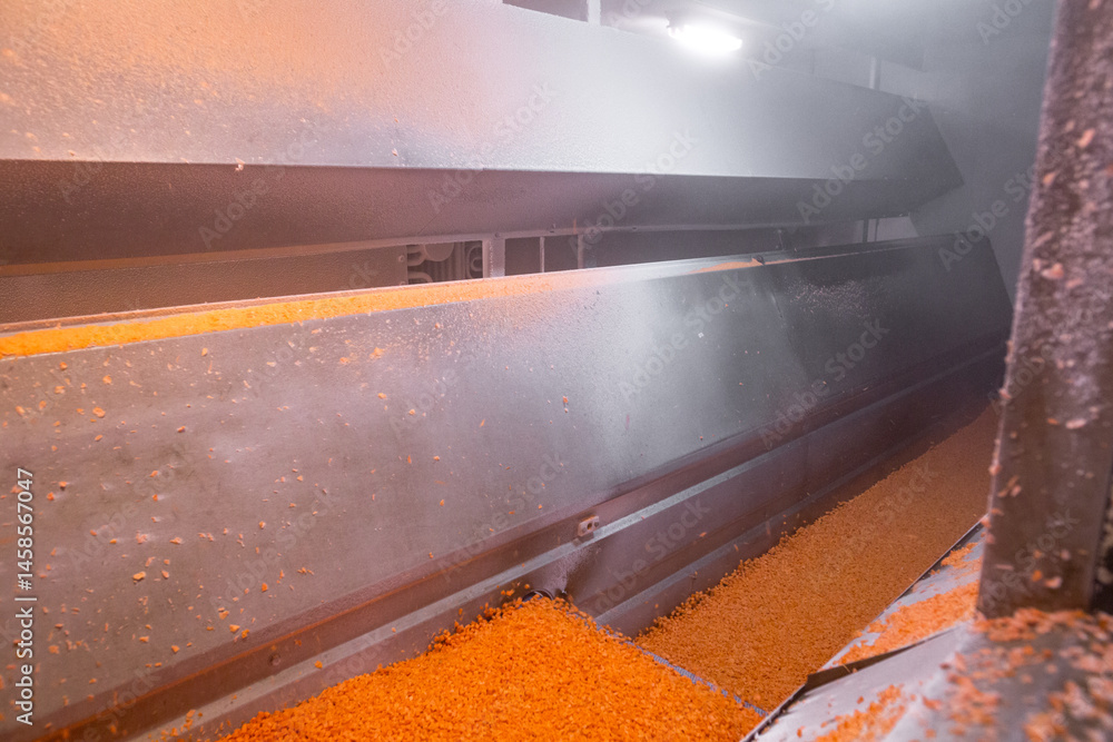 Bright diced carrot pieces move through shock-freezing chamber, while the conveyor belt continuously shakes the dices to prevent them from sticking. Рrepared for retail to ensure extended shelf life.