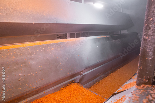 Obraz na płótnie Bright diced carrot pieces move through shock-freezing chamber, while the conveyor belt continuously shakes the dices to prevent them from sticking. Рrepared for retail to ensure extended shelf life. w salonie