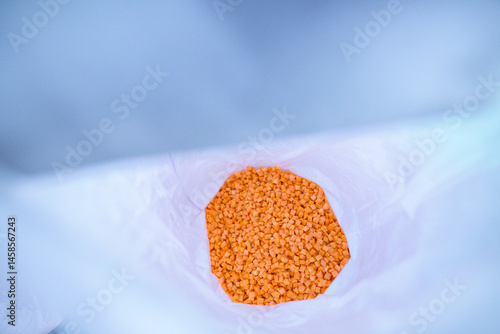 Obraz na płótnie Bright diced carrot pieces, after passing through the shock-freezing chamber, are packaged in polyethylene bags by weight for shipment to customers. Рrepared for retail to ensure extended shelf life. w salonie