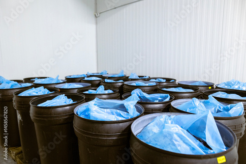 Obraz na płótnie Freshly harvested plums in deep black plastic barrels inside a refrigerated chamber at the warehouse for sorting, processing, and storage. w salonie